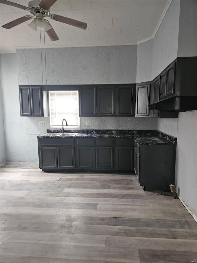 kitchen featuring sink, crown molding, light hardwood / wood-style flooring, and ceiling fan