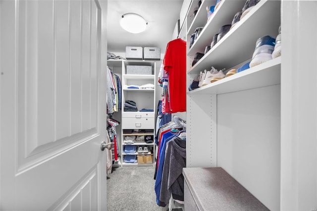 spacious closet with carpet flooring