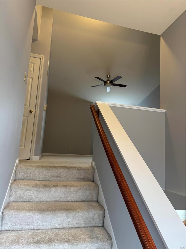 stairs featuring ceiling fan and carpet