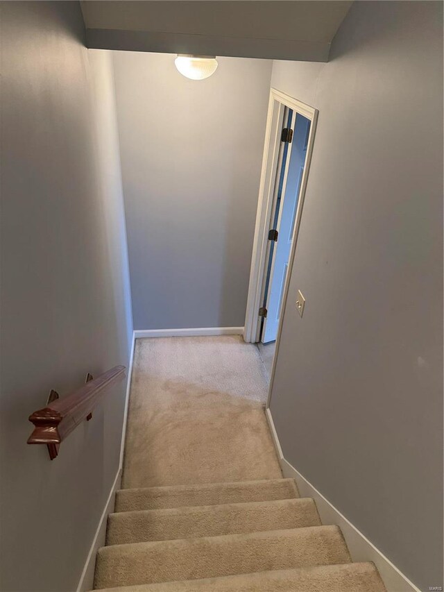 staircase featuring carpet and baseboards