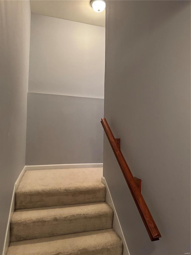 stairway featuring carpet floors and baseboards