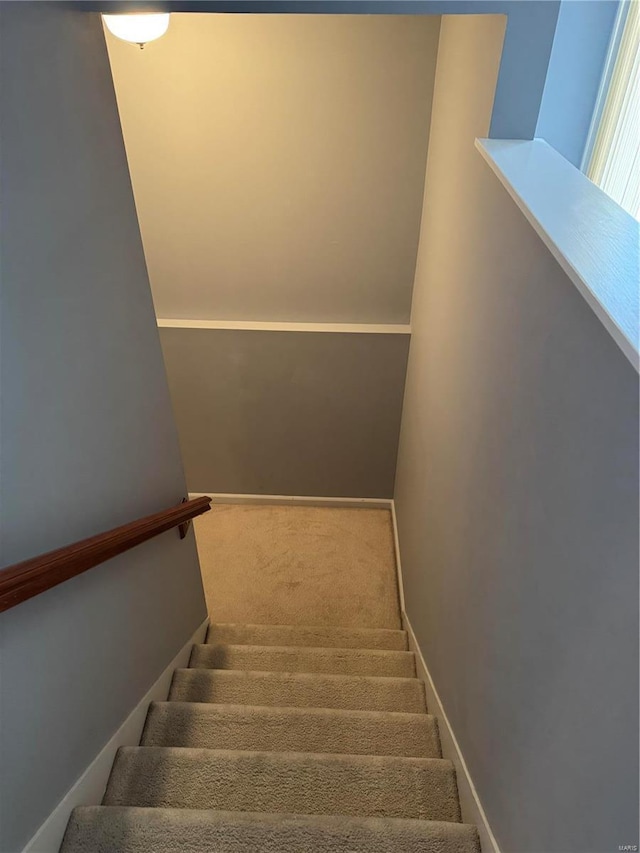 stairs featuring carpet floors and baseboards