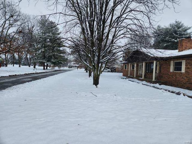 view of yard covered in snow