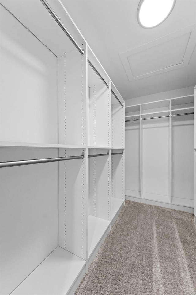 spacious closet featuring carpet flooring and attic access