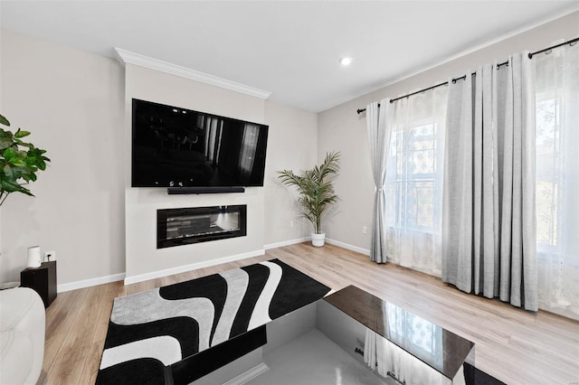 living room featuring a glass covered fireplace, wood finished floors, and baseboards