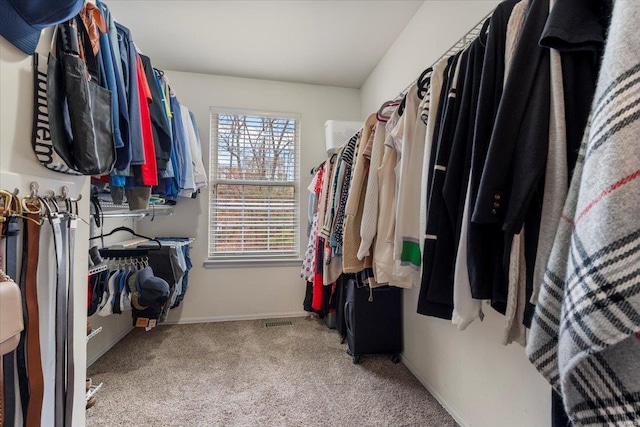 spacious closet featuring carpet floors