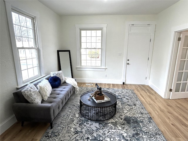 living room with plenty of natural light and wood-type flooring