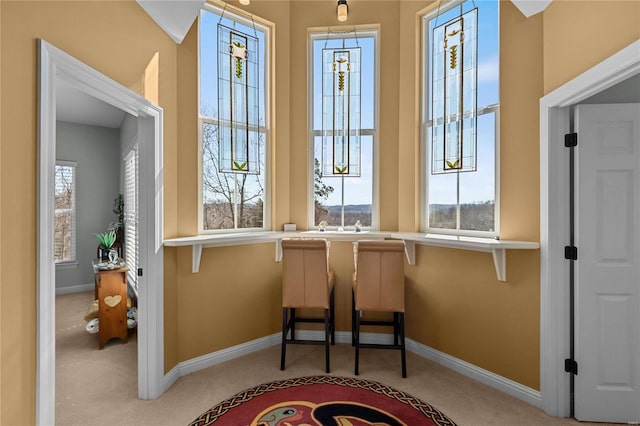 interior space featuring carpet flooring and baseboards