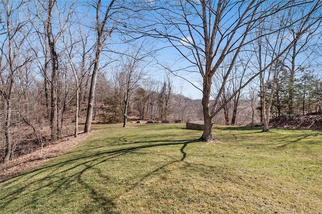 view of yard featuring a forest view