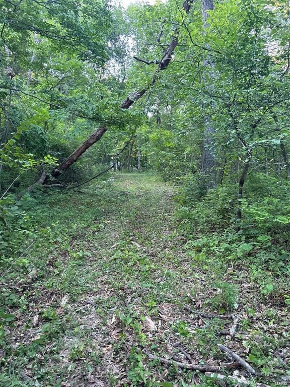 144 Jabin Farm Rd, Wright City MO, 63390 land for sale