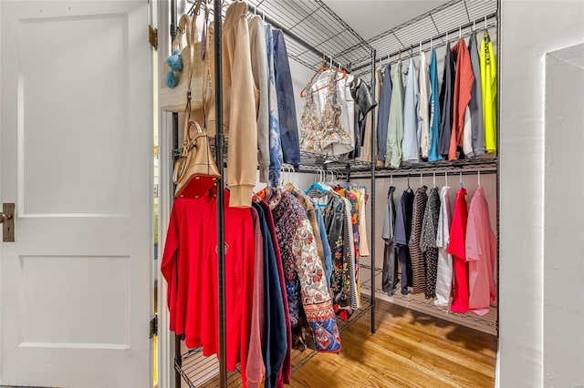 walk in closet with hardwood / wood-style flooring