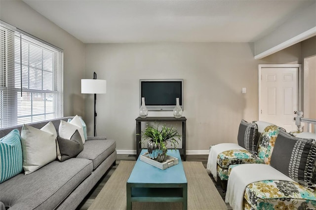 living room featuring hardwood / wood-style floors