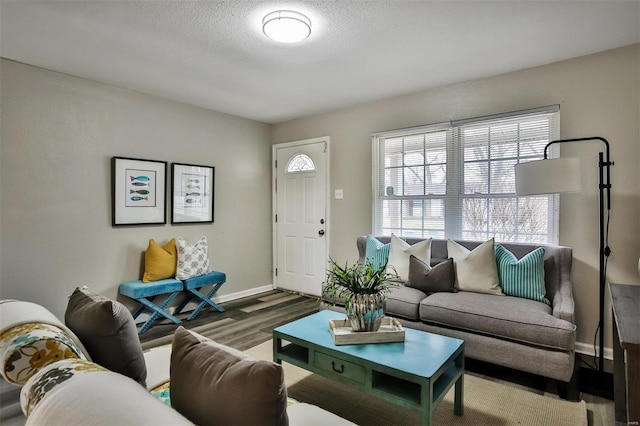 living room featuring hardwood / wood-style flooring and a textured ceiling