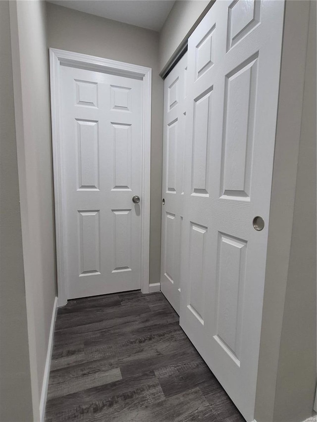 doorway with dark hardwood / wood-style floors