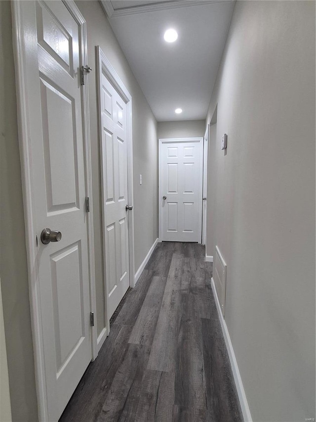 hallway featuring dark wood-type flooring