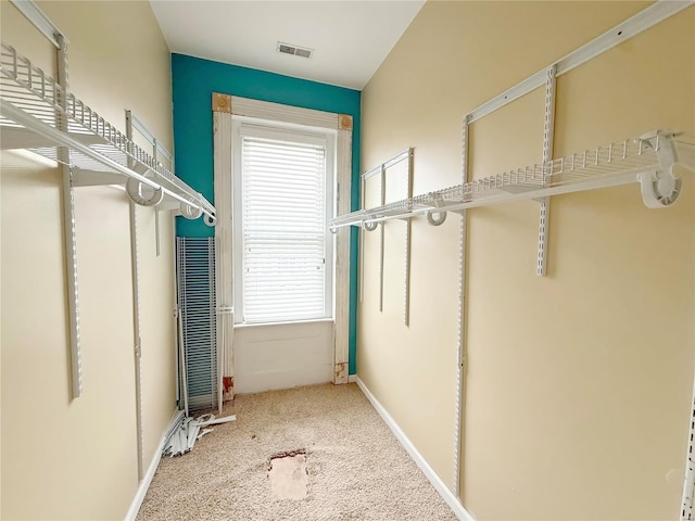 walk in closet featuring carpet flooring