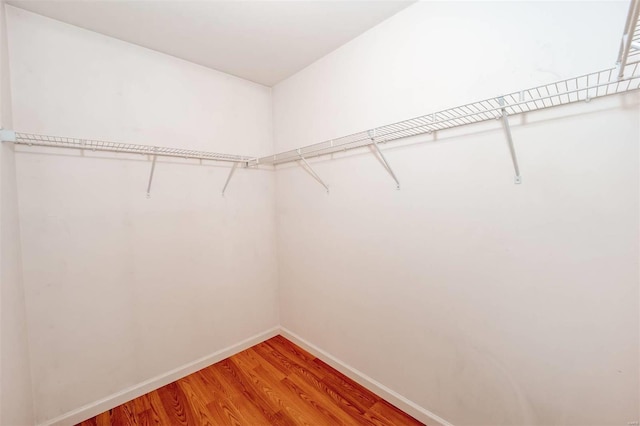 spacious closet featuring light wood-style flooring