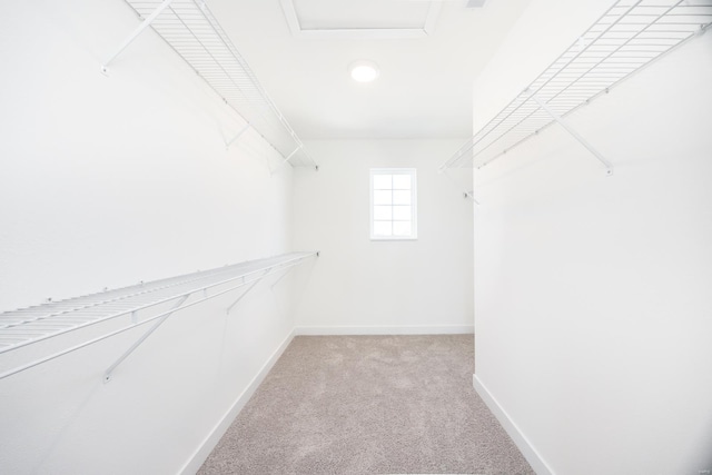 walk in closet featuring light carpet and attic access