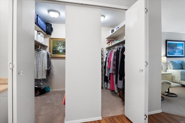 spacious closet with light colored carpet