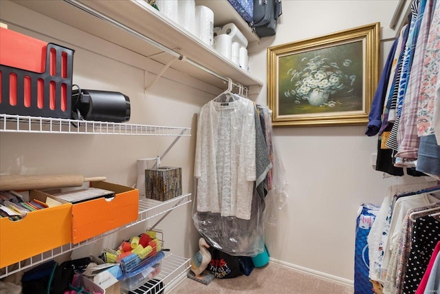 spacious closet featuring carpet floors