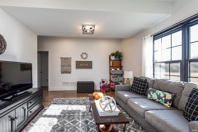 living room featuring dark hardwood / wood-style flooring