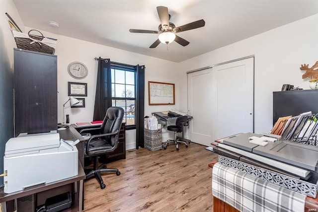 office space featuring ceiling fan and light wood-type flooring