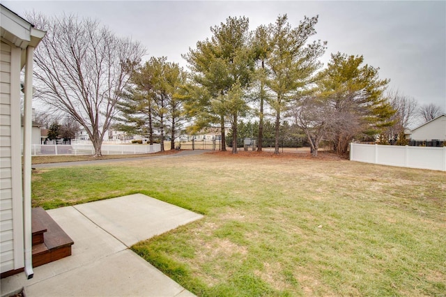 view of yard featuring a patio area