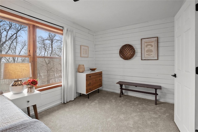 bedroom with light carpet