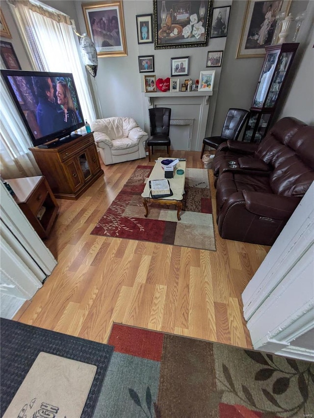 living area with wood finished floors