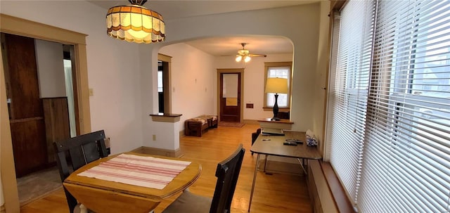 dining room featuring ceiling fan and light wood-type flooring