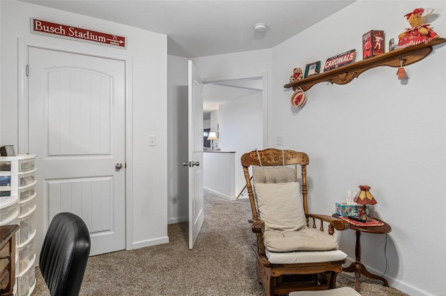 sitting room with carpet floors