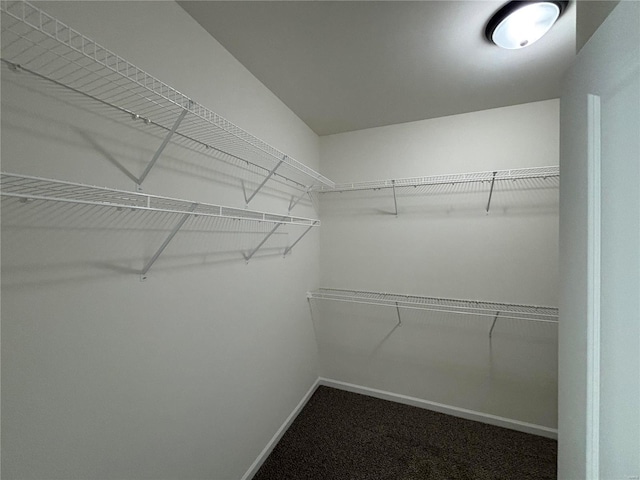 spacious closet with carpet flooring