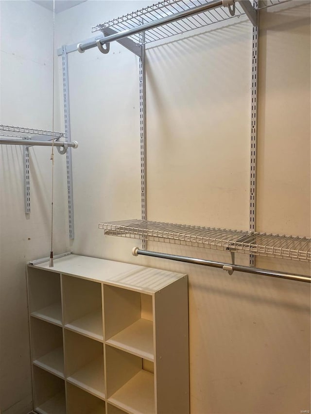 view of walk in closet