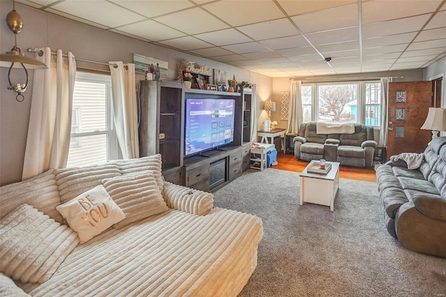 living room featuring a drop ceiling and a wealth of natural light