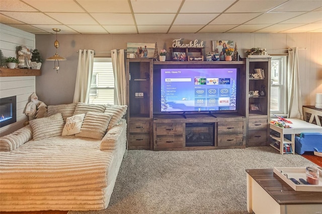 living room with carpet and a drop ceiling