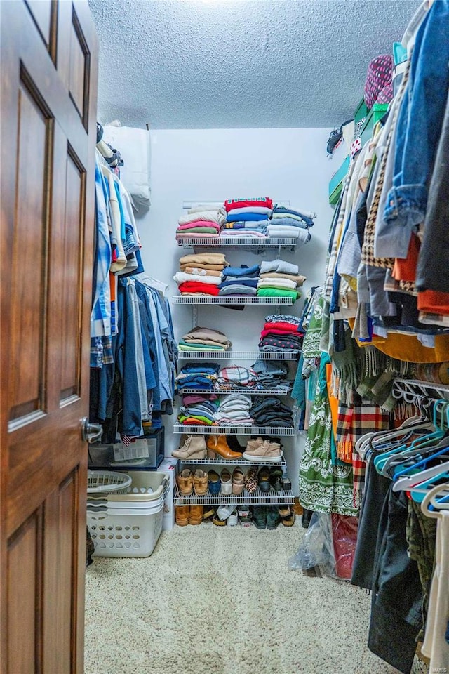 view of walk in closet