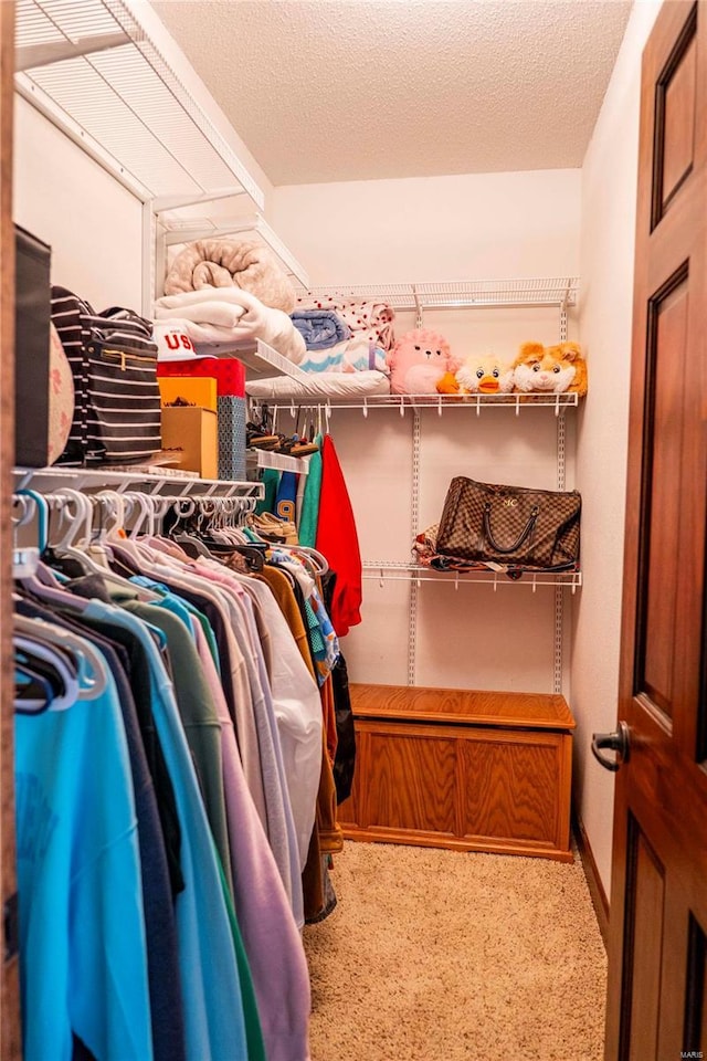 view of spacious closet