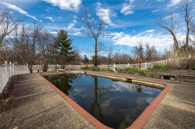 view of pool featuring a fenced in pool, a fenced backyard, and a diving board