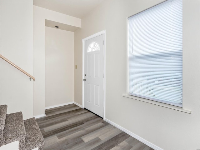 entryway with wood-type flooring