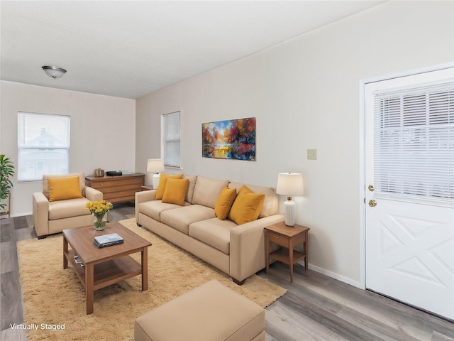 living room featuring hardwood / wood-style floors