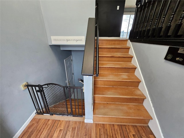 stairs with hardwood / wood-style flooring