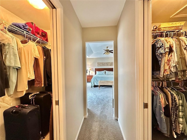 walk in closet featuring carpet and a ceiling fan