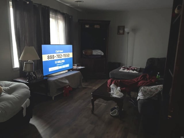 living room with hardwood / wood-style floors