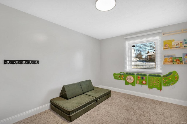 sitting room with carpet floors