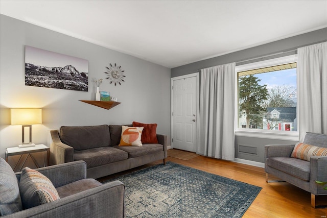 living room with hardwood / wood-style floors