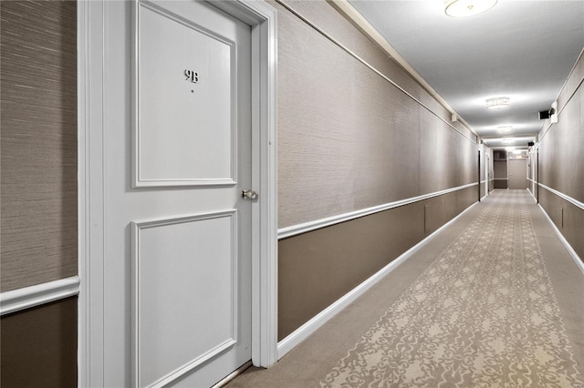 hallway with carpet floors