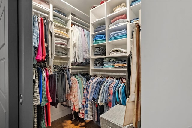 view of walk in closet