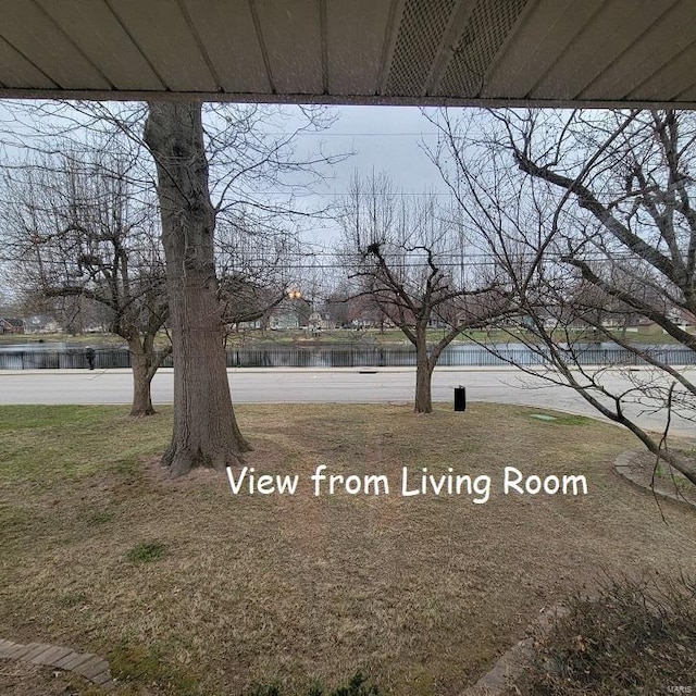 view of yard with a water view