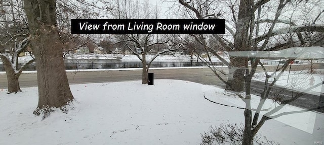 view of yard covered in snow