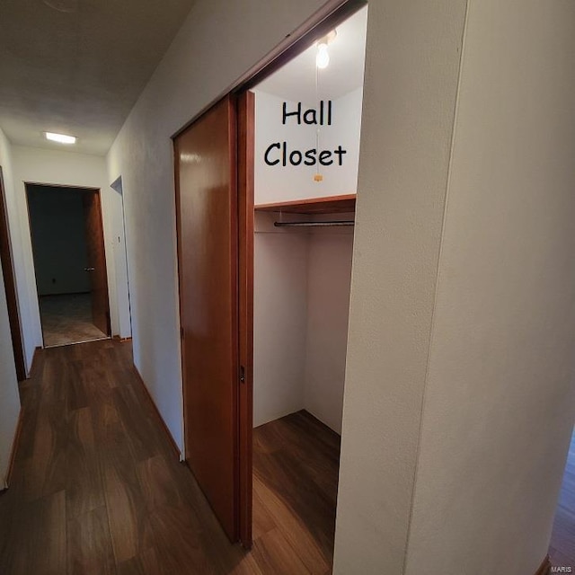 hallway with dark wood-style floors